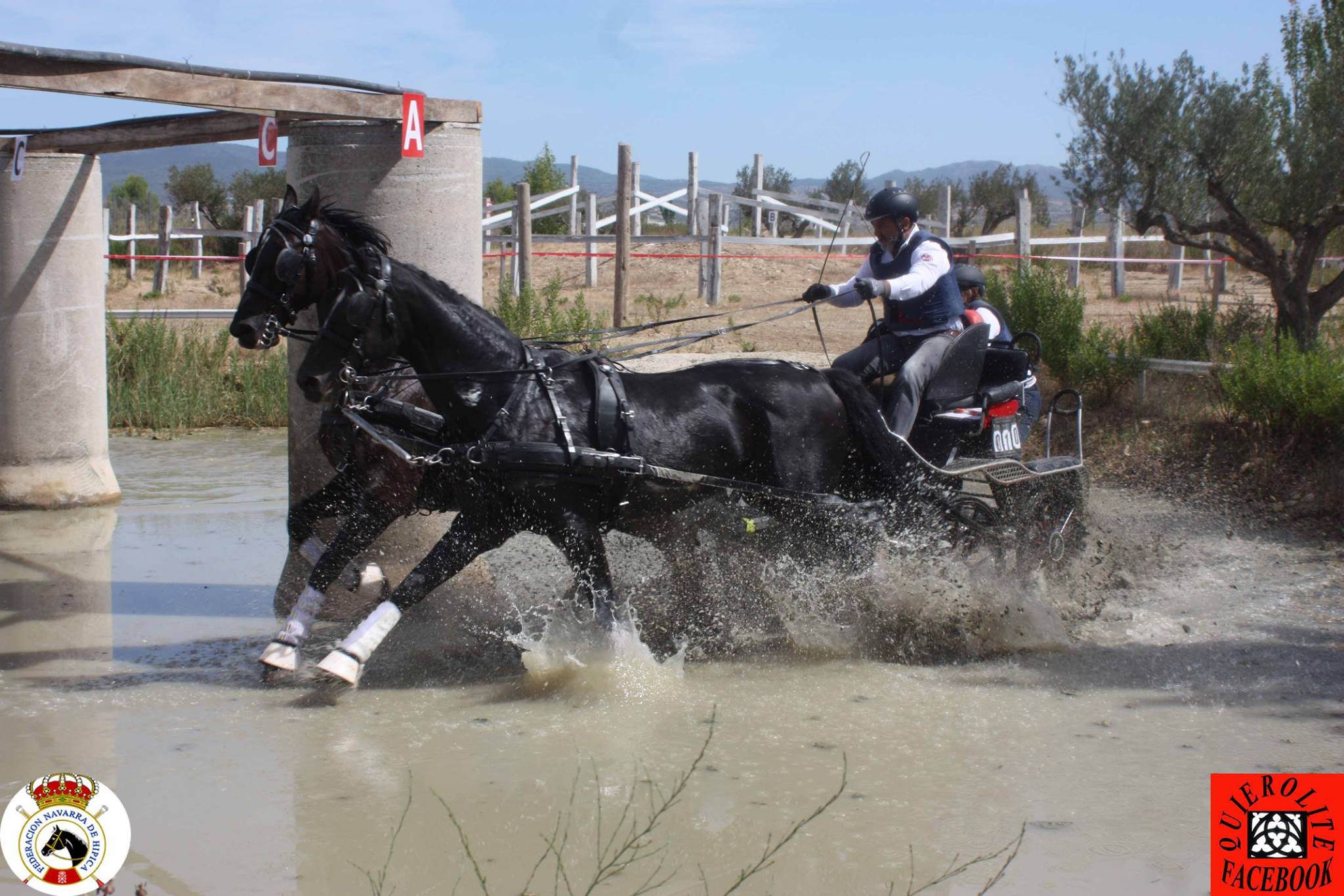 Olite acogi&oacute; el Campeonato Navarro de Enganches